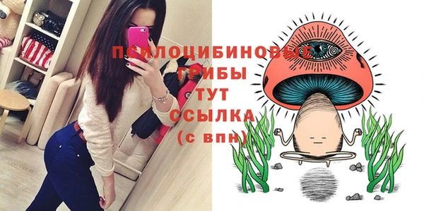 a pvp Елабуга