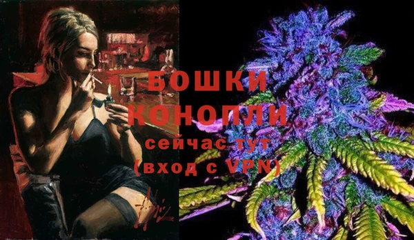 круглые Ельня