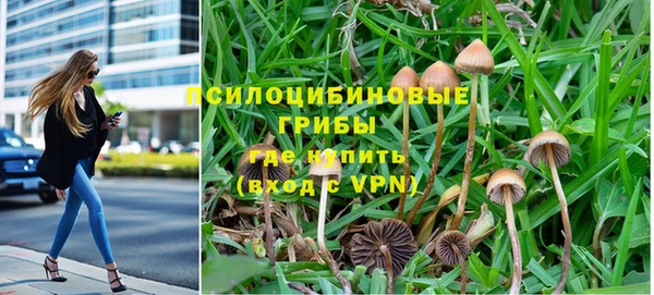 a pvp Елабуга