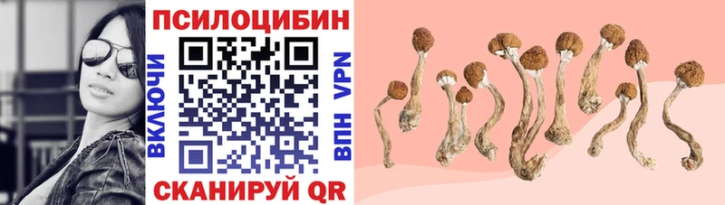 Купить  Саянск  Псилоцибиновые грибы мухоморы 